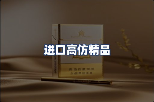 进口高仿精品